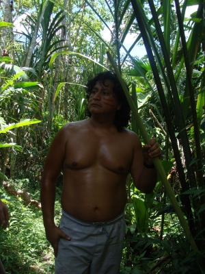 Local in amazon rainforest