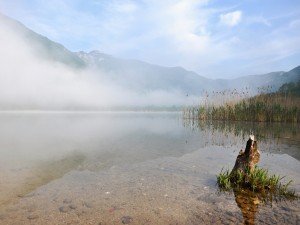 Morning mist