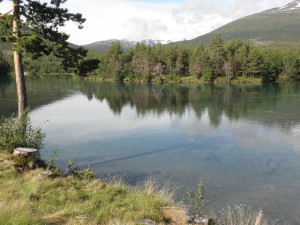 By the lake