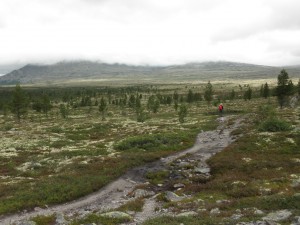 Afternoon trekking 