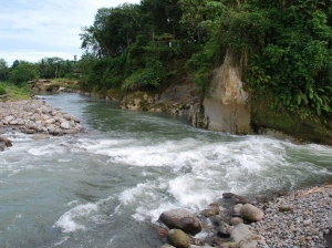 Calmer part of Binge river