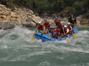 Rafting monkey waves 